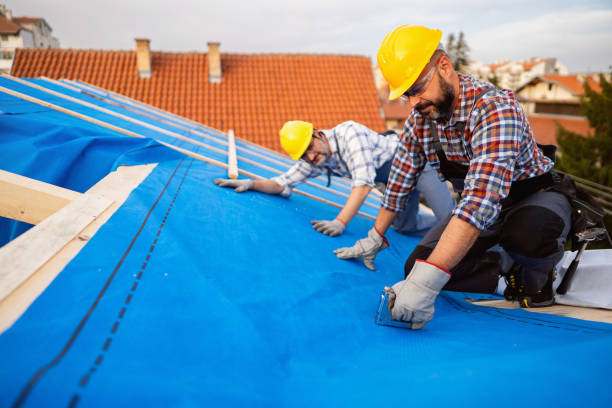 Best Metal Roofing Contractor  in Meadview, AZ
